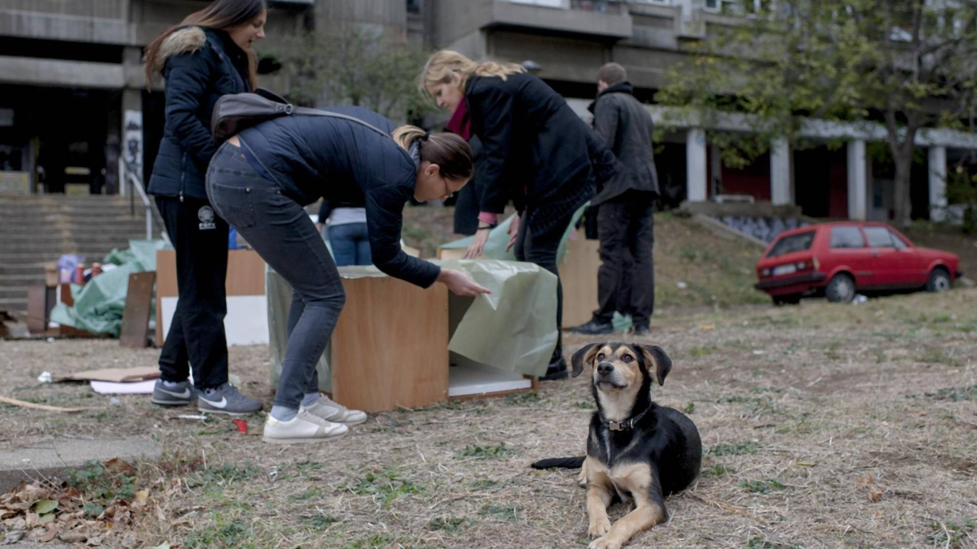 Kako su Beograđani pokazali svoje najlepše lice u radnoj akciji za napuštene pse