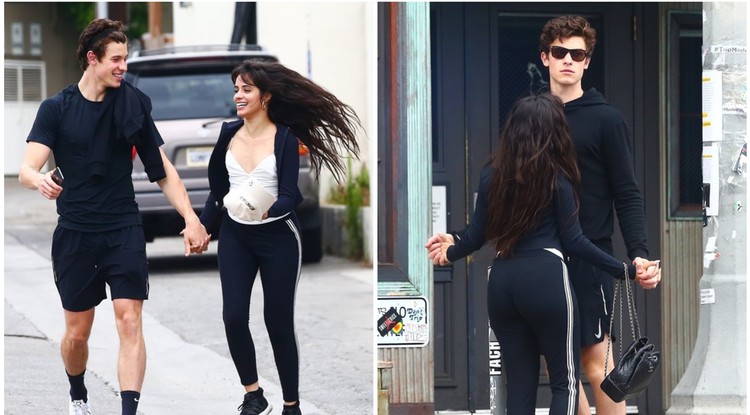 Shawn Mendes és Camila Cabello