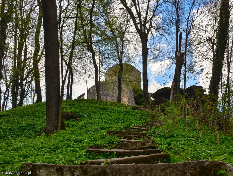 Zamek Wleń / Lenno - widok współczesny.