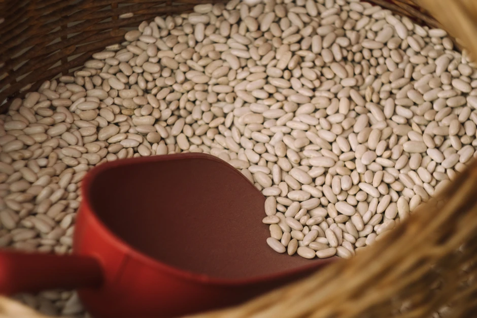 Pasulj mora da bude dobro termički obrađen