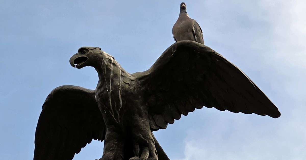 Wybory prezydenckie i ekonomia: „Polska Karola Nawrockiego jest gorzej wykształcona, mało zarabia i wytwarza tylko jedną czwartą PKB”