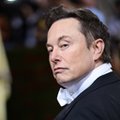 Musk uważa, że praca zdalna rozleniwiła ludzi. Ekonomiści tłumaczą, jak bardzo się myli