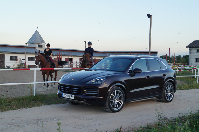 Porsche Cayenne jak jeździ podstawowa wersja bestselleru