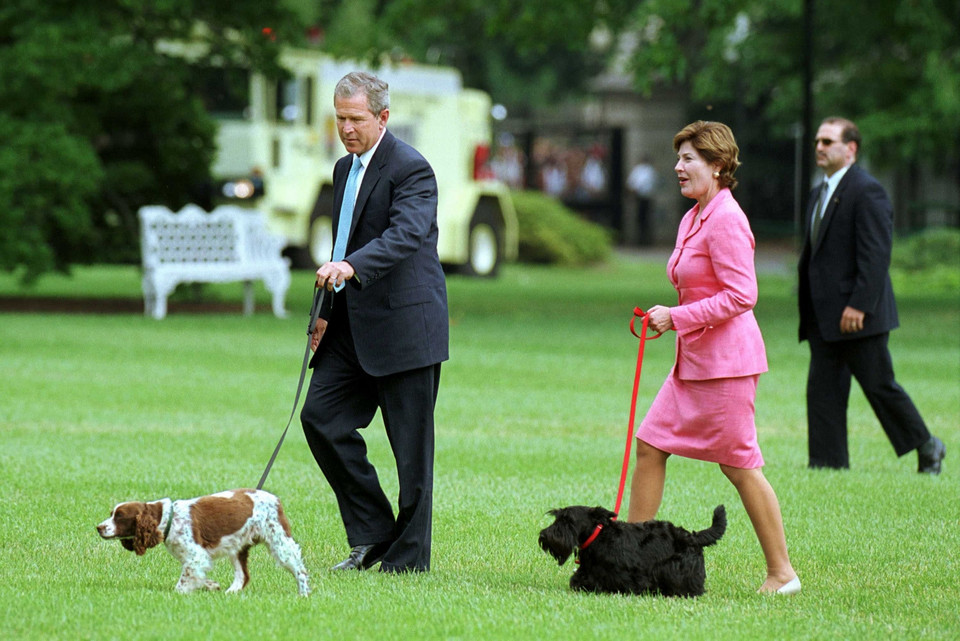 Czworonożni mieszkańcy Białego Domu: Barney i Spot (psy George'a W. Busha i jego żony Laury)