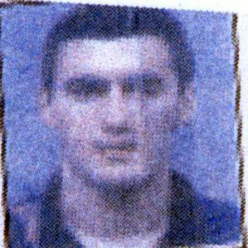 Capo di tutti capi: Dejan Stojanović Keka