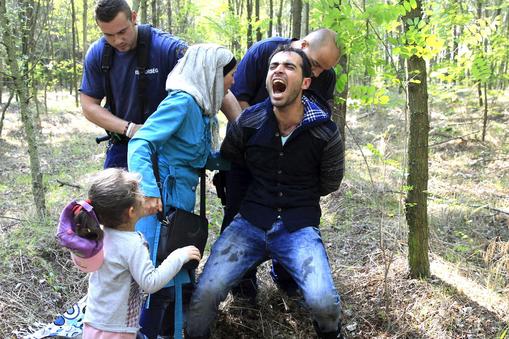 Hungarian policemen detain a Syrian migrant family after they entered Hungary at the border with Ser