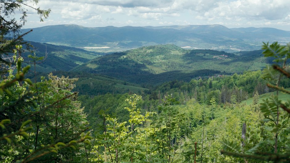 Beskid Żywiecki