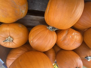 KOWR: Polska dyniową potęgą w Unii Europejskiej