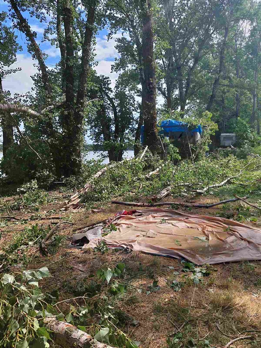 Šuma u Beočinu dan nakon superćelijske oluje