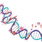 DNA ILUSTRACJA