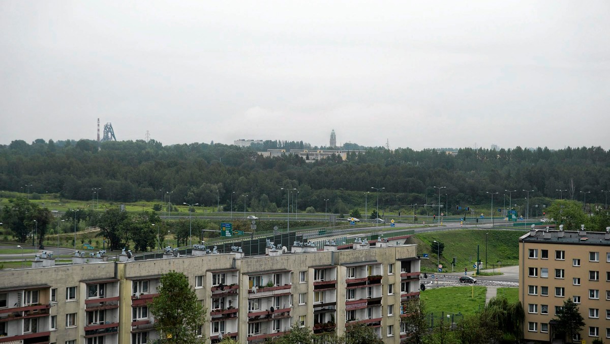 Ponad 250 tys. zł kosztuje miesięczne utrzymanie zieleni w Rudzie Śląskiej, a ponad 440 tys. zł – miesięczny koszt oświetlenia tego miasta. Rudzki samorząd wydał informator "Cennik miejski", mający upowszechnić wśród mieszkańców wiedzę nt. wydatków miejskiego budżetu.