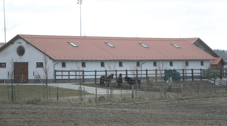 Ezt az új épületet húzták fel Simicska birtokán a bővülő ménesnek /Fotó: Varga Imre