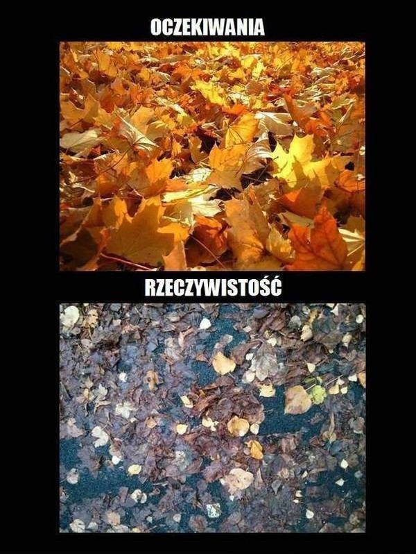 Najlepsze memy o jesieni. Internauci w formie