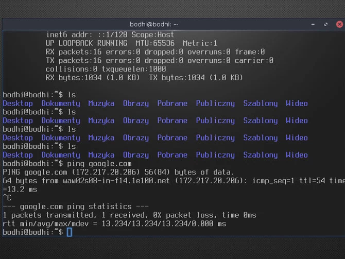 Terminology - nowoczesny terminal