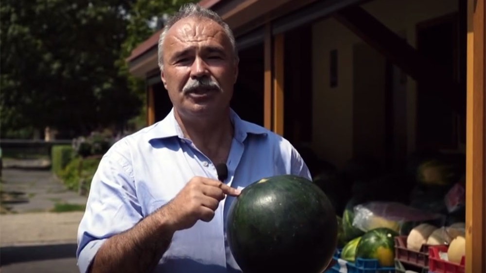 Nagy István: a magyar dinnye a legjobb, azt vegye mindenki!