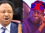 VIDEO: 'You're the father of protest, release EndSARS protesters' - Shehu Sani tells Tinubu