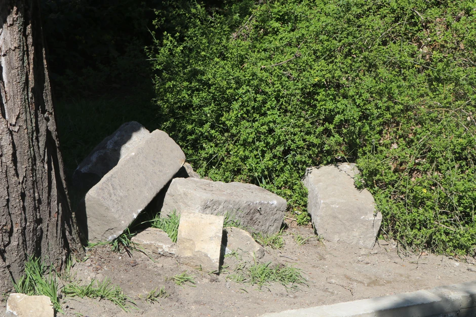 Ploče u Dunavskom parku