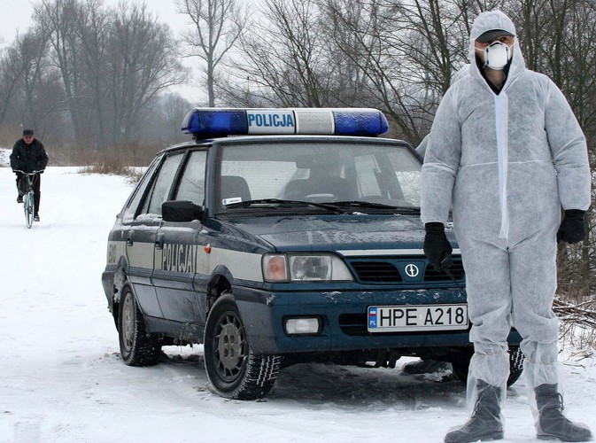 Z ptasią grypą w Polsce walczyła policja. Radiowóz wraz z przebranym w ochronny uniform policjantem blokują drogę w okolicach Kostrzyna nad Odrą. W okolicy znaleziono martwego łabędzia, zainfekowanego wirusem H5N1