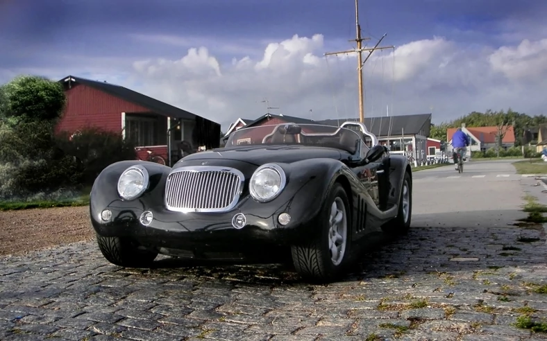 Leopard Roadster