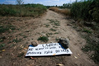 Śnięte ryby na rzece Ner. Zwołano sztab kryzysowy