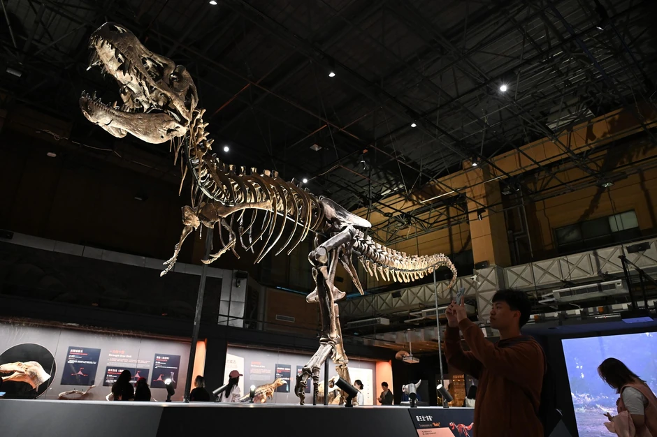 Tiranosaurus reks