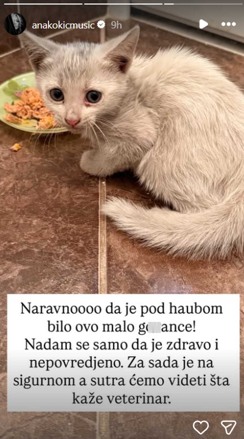 Ana Kokić spasila mačku 