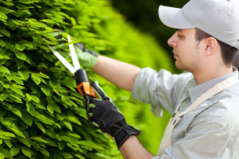 Gardener at work