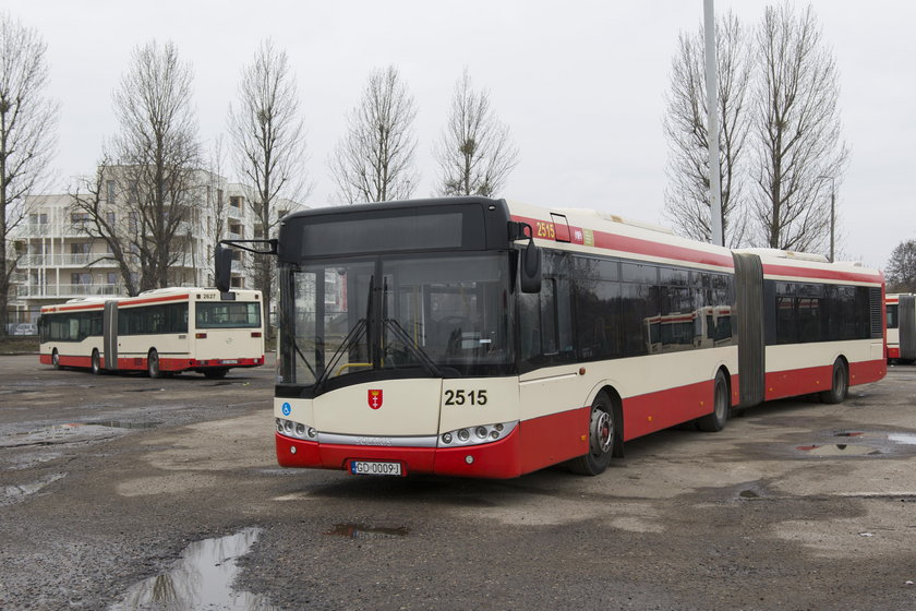 Gdański autobus