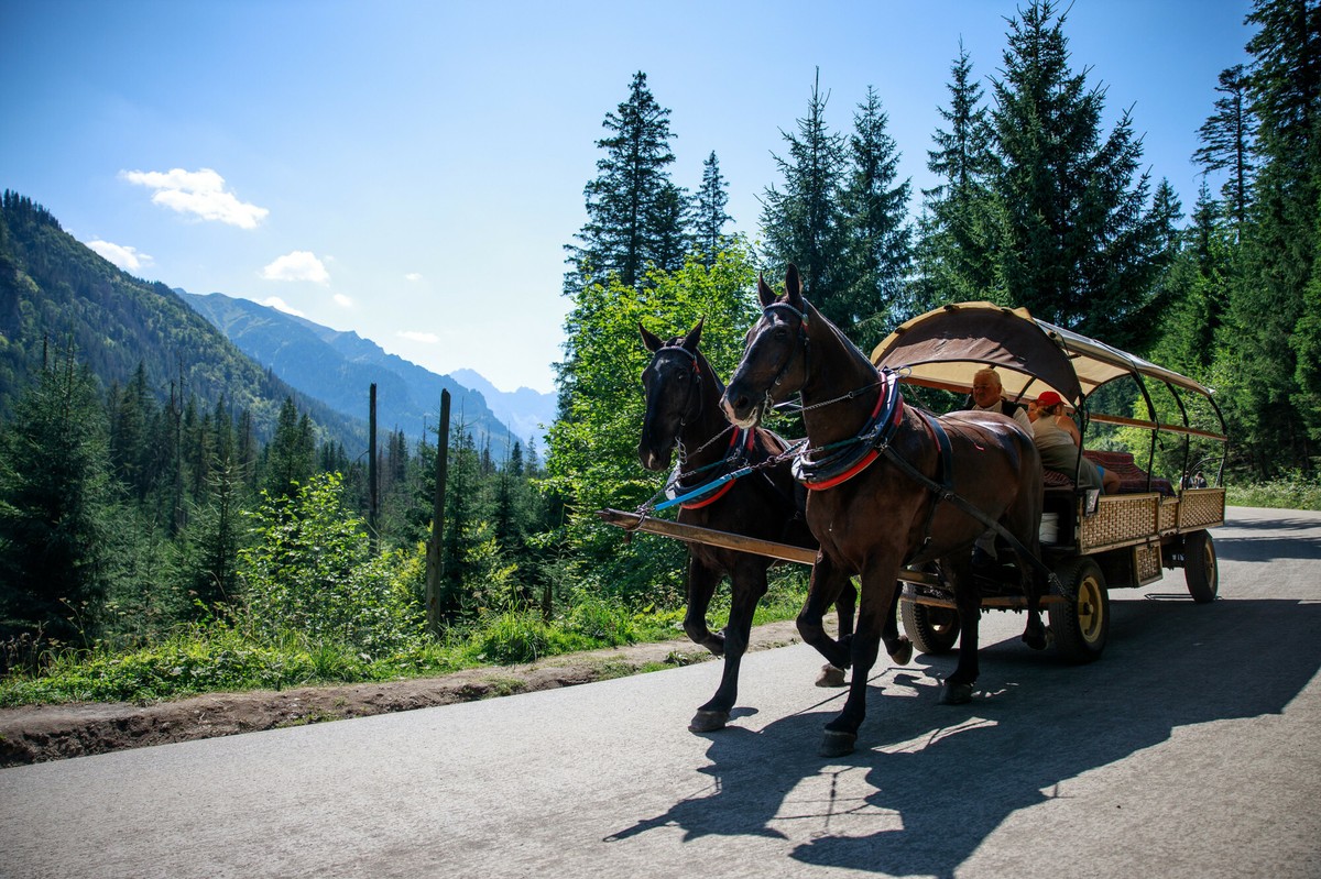 Busy elektryczne znikają z trasy do Morskiego Oka. Powrót dopiero wiosną 2025