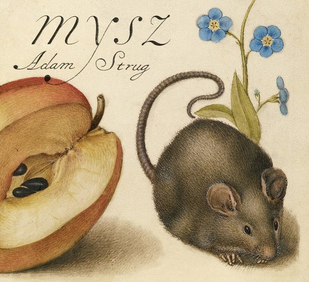 Adam Strug "Mysz"