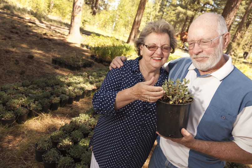 Seniorzy. Fot. Shutterstock.com