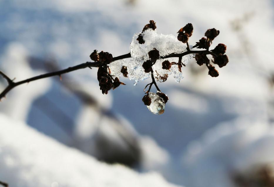 Fotó: Northfoto