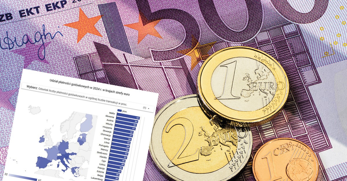 W tych krajach gotówka przez cały czas rządzi. Wyróżniają się dwa regiony [MAPA]