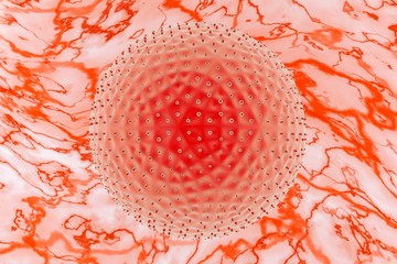 Az LGV fertőzést a „sima” Chlamydia fertőzéshez (Chlamydia trachomatis D-K csoport) hasonló kórokozó okozza (Chlamydia trachomatis L1-L3 csoport), de a baktérium egyedi sajátosságai miatt lényegesen súlyosabb lefolyás várható. 