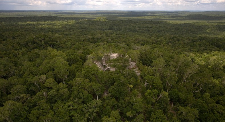 A view of a Maya temple at the el Mirador archaeological site in the Peten jungle, Guatemala August 24, 2009.Reuters/Daniel Leclair