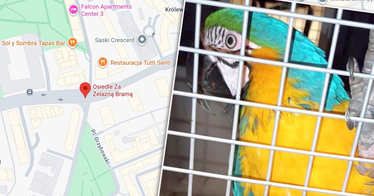 Niecodzienne sceny w stołecznej restauracji. Klient był mocno zakłopotany. "Nie byli znajomymi"