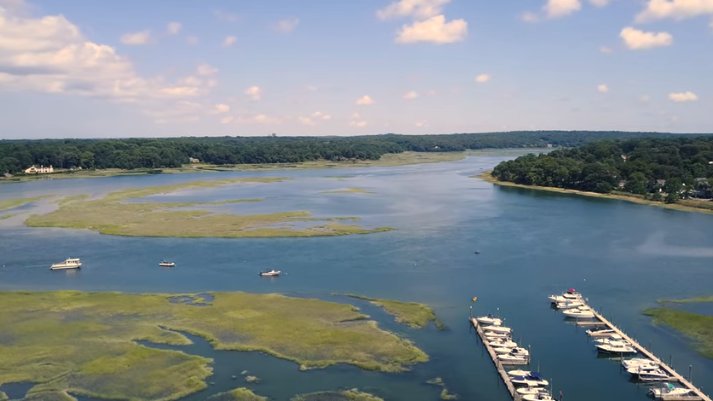 "Nissequogue River – A Beautiful Ecosystem" - kadr z filmu