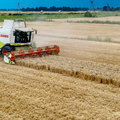 Polska może liczyć na duże unijne pieniądze na rolnictwo. Rząd przyjął projekt