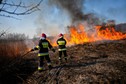 Pożar w okolicy ul. Kolnej przy Wałach Wiślanych