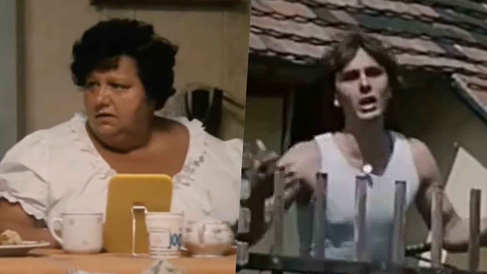 Helena Růžičková a Broněk Černý vo filmovej klasike Slunce, seno, jahody.