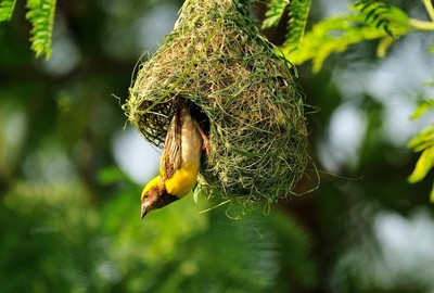 Młodzi Polacy w końcu opuszczają domy rodzinne? Raport GUS o polskich gniazdownikach