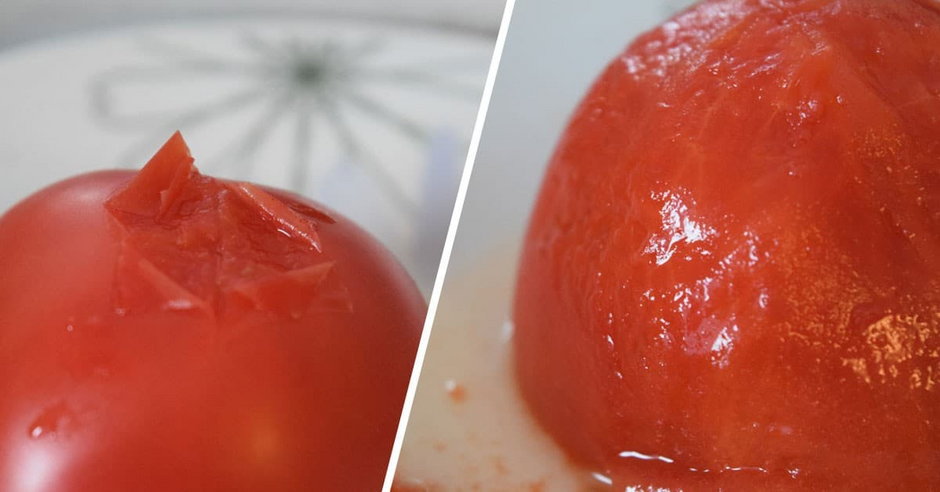 Pomidor sparzony w kuchence mikrofalowej