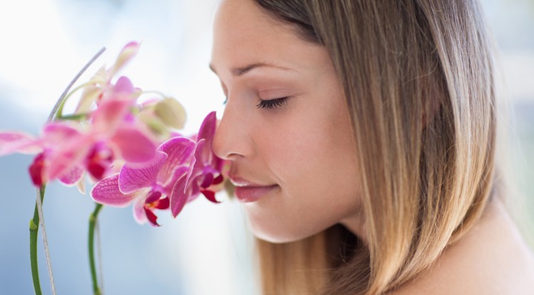 Az orchidea illata betölti a lakást Fotó: Getty Images