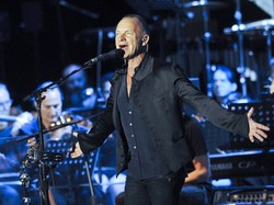 Plejada gwiazd na urodzinach Stinga