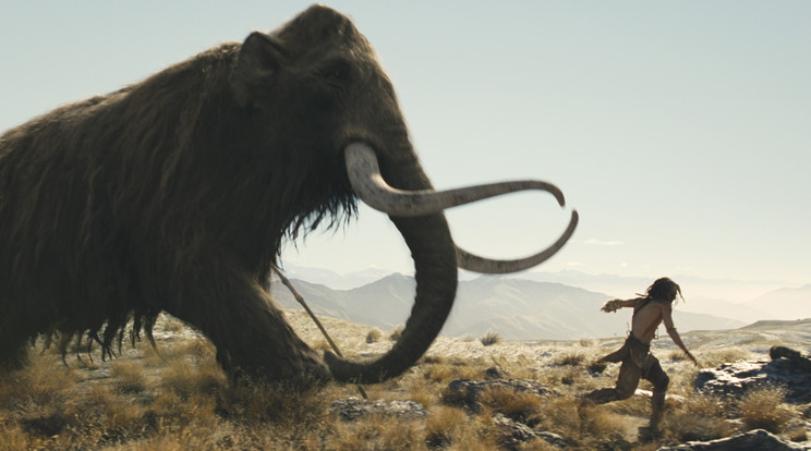 Menekülés a mamut elől (Fotó: RAS-archív)