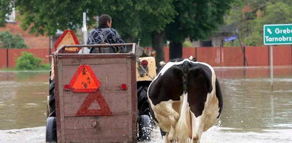 Powodzianie boją się nocnych kradzieży