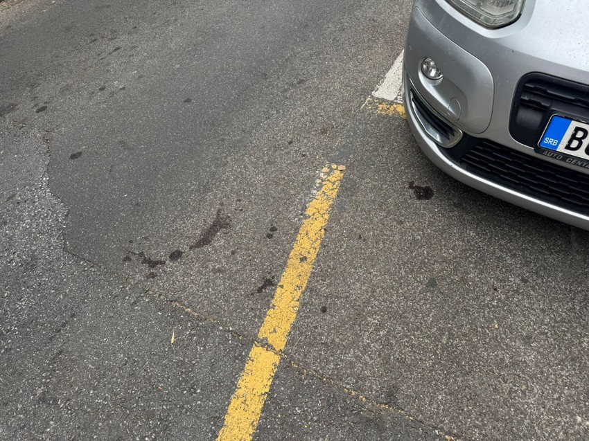 Tragovi krvi u Kursulinoj ulici