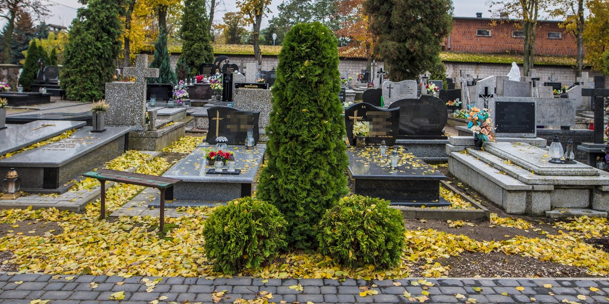 Mieszkańcom Woźniakowa tuje na cmentarzu się dwuznacznie