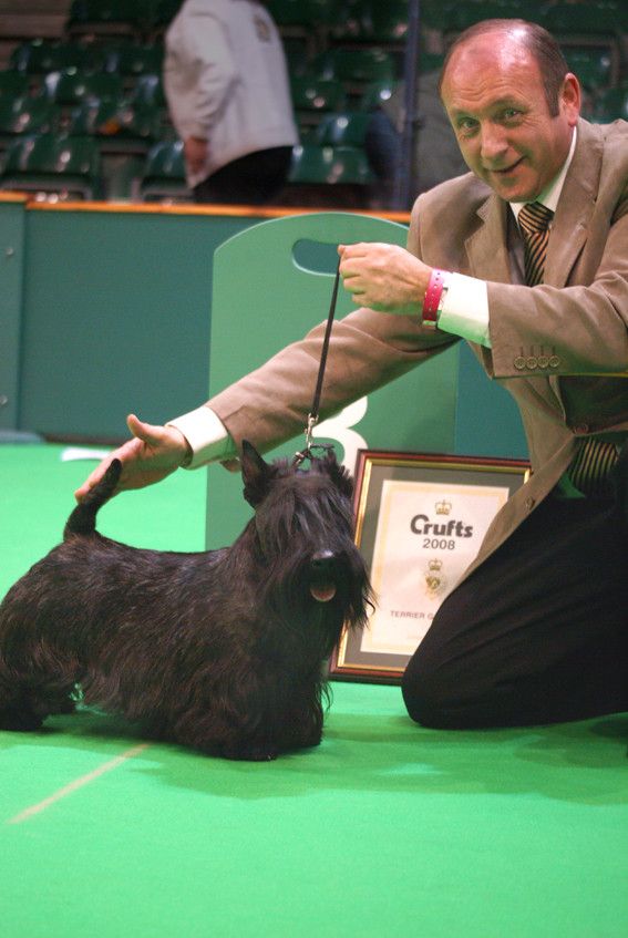 CRUFTS zwycięzcy