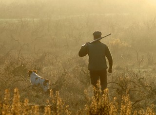Projekt: Myśliwi na polowaniach będą mogli korzystać z krótkiej broni palnej